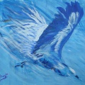 aigle bleu