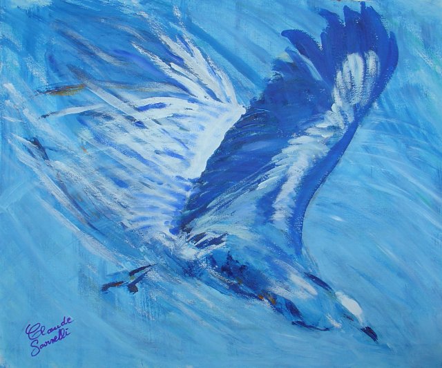 aigle bleu